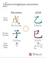 Une énergie secrète – Influence du mois de décembre 2025
