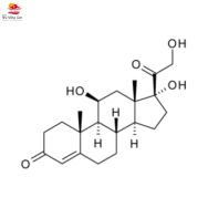 Un ennemi qui vous veut du bien !