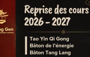 Qi Gong, cours 2026-2027